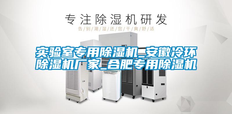 實(shí)驗室專(zhuān)用除濕機_安徽冷環(huán)除濕機廠(chǎng)家_合肥專(zhuān)用除濕機