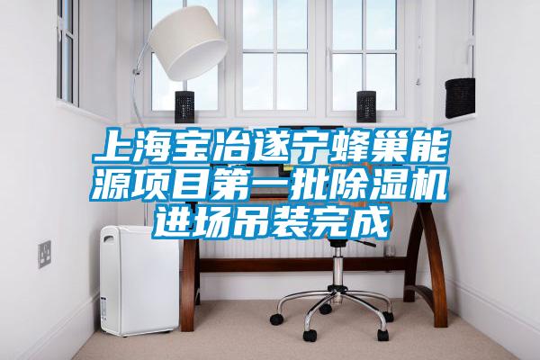 上海寶冶遂寧蜂巢能源項目第一批除濕機進(jìn)場(chǎng)吊裝完成