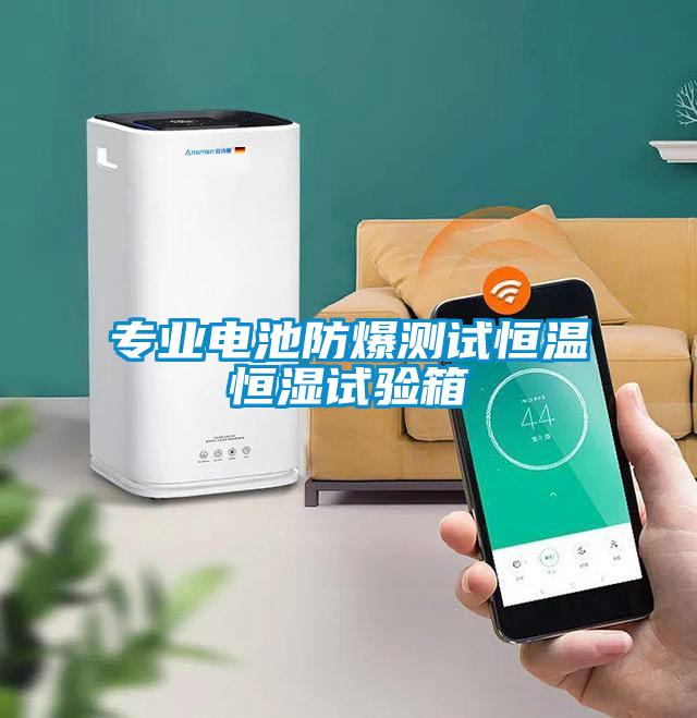 專(zhuān)業(yè)電池防爆測試恒溫恒濕試驗箱