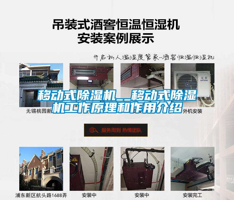 移動(dòng)式除濕機__移動(dòng)式除濕機工作原理和作用介紹