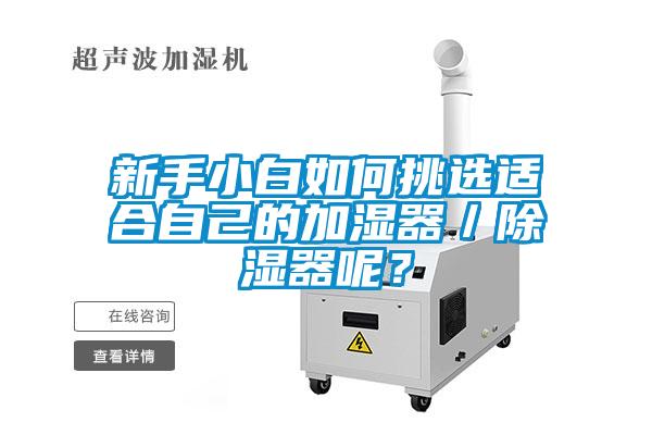 新手小白如何挑選適合自己的加濕器／除濕器呢？