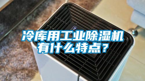冷庫用工業(yè)除濕機有什么特點(diǎn)？