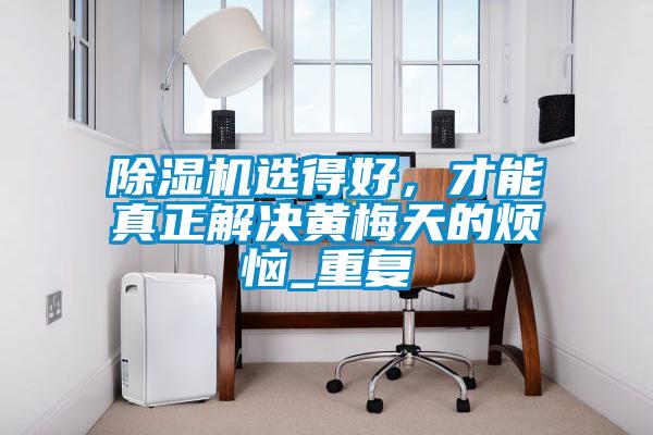 除濕機選得好，才能真正解決黃梅天的煩惱_重復