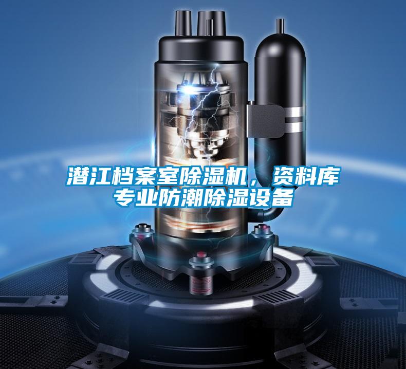 潛江檔案室除濕機，資料庫專(zhuān)業(yè)防潮除濕設備