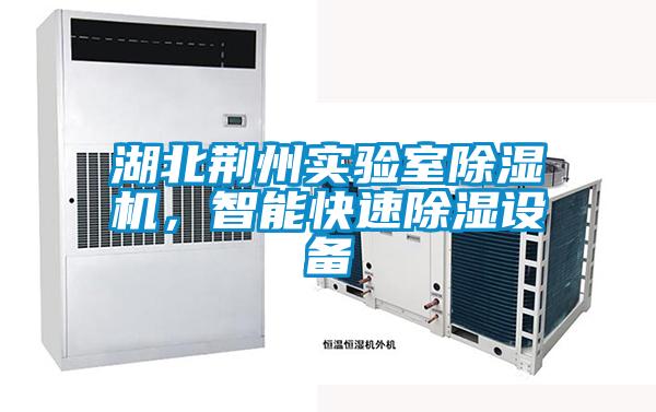 湖北荊州實(shí)驗室除濕機，智能快速除濕設備