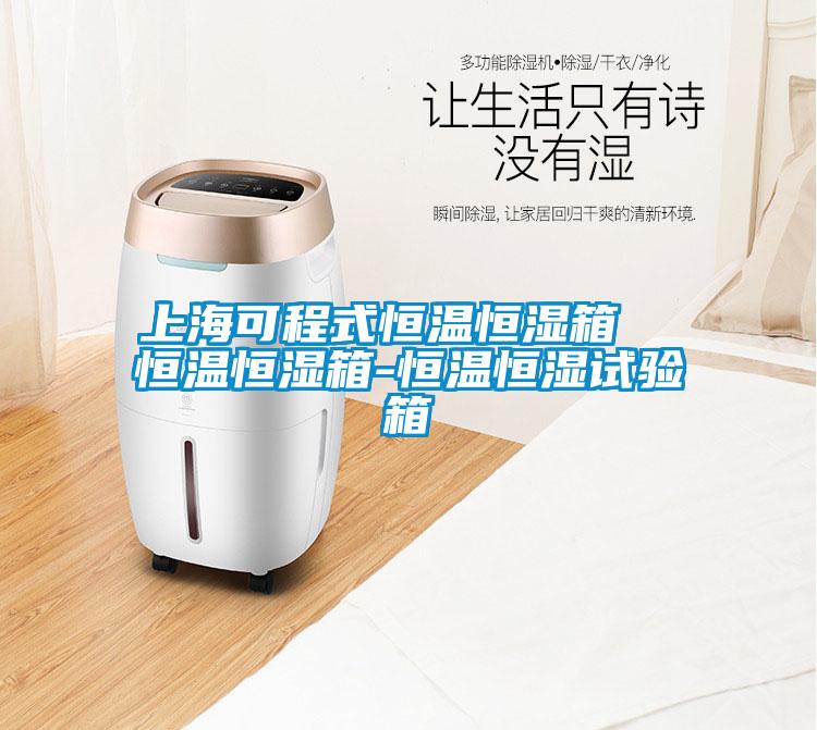 上?？沙淌胶銣睾銤裣? 恒溫恒濕箱-恒溫恒濕試驗箱