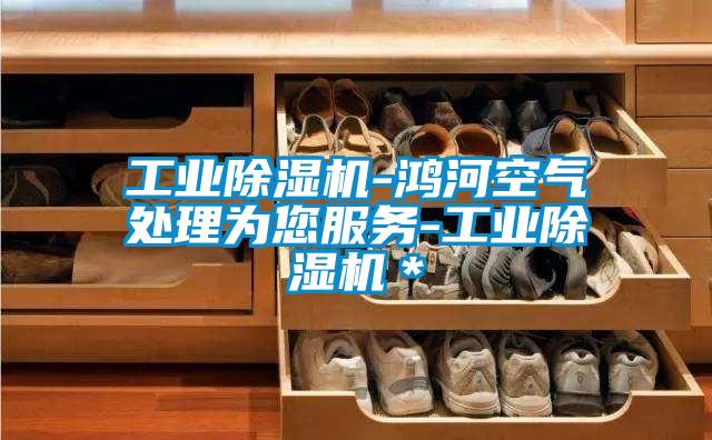工業(yè)除濕機-鴻河空氣處理為您服務(wù)-工業(yè)除濕機＊