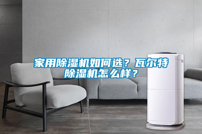 家用除濕機如何選？瓦爾特除濕機怎么樣？