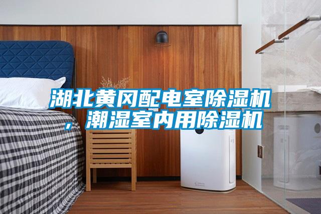 湖北黃岡配電室除濕機，潮濕室內用除濕機