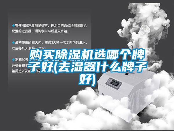 購買(mǎi)除濕機選哪個(gè)牌子好(去濕器什么牌子好)