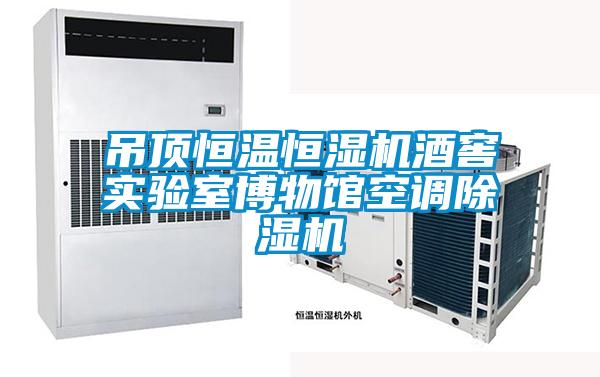 吊頂恒溫恒濕機酒窖實(shí)驗室博物館空調除濕機