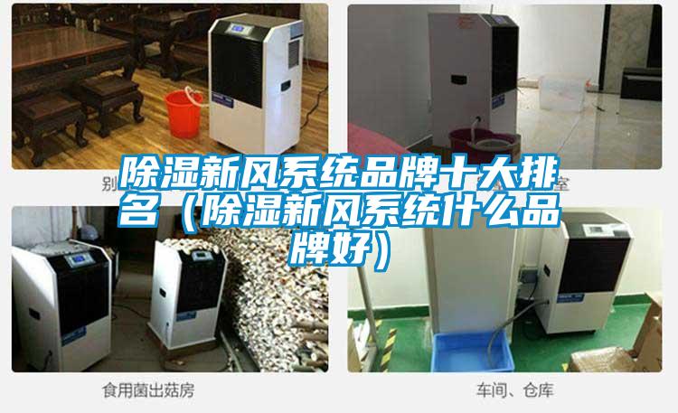 除濕新風(fēng)系統品牌十大排名（除濕新風(fēng)系統什么品牌好）