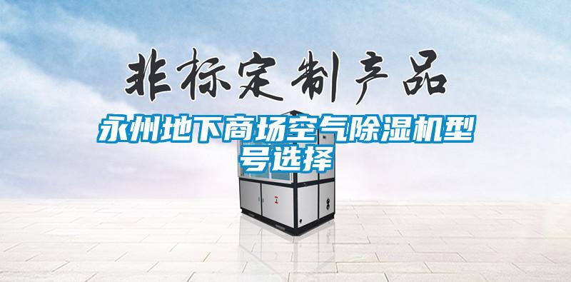 永州地下商場(chǎng)空氣除濕機型號選擇