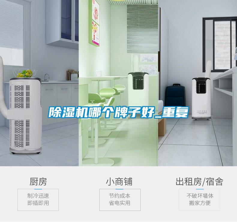 除濕機哪個(gè)牌子好_重復