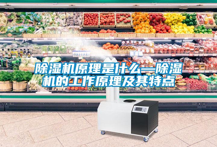 除濕機原理是什么—除濕機的工作原理及其特點(diǎn)