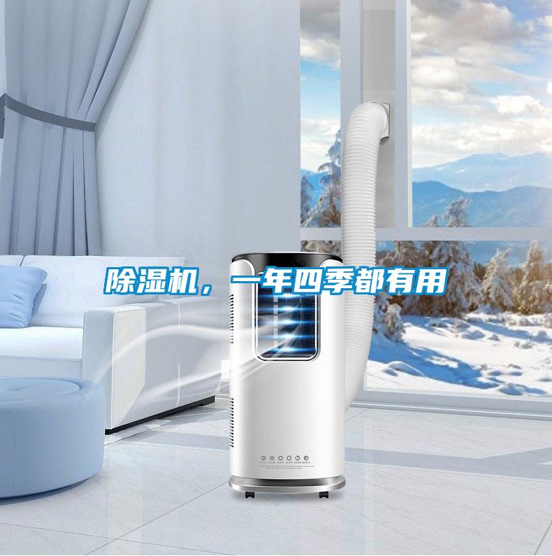 除濕機，一年四季都有用