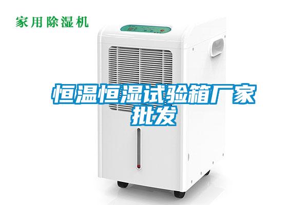 恒溫恒濕試驗箱廠(chǎng)家批發(fā)