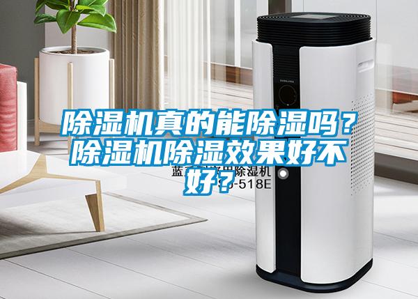 除濕機真的能除濕嗎？除濕機除濕效果好不好？