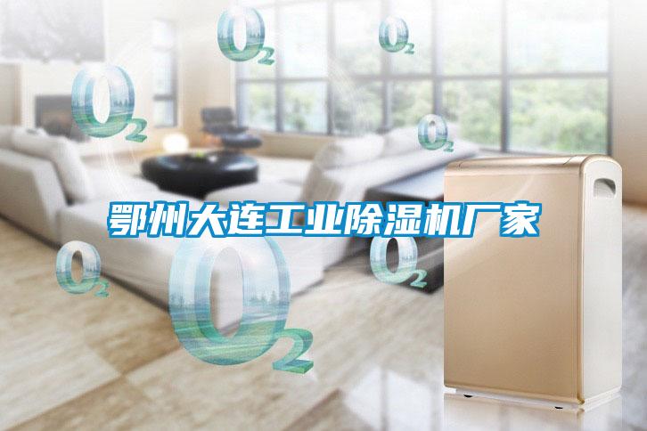 鄂州大連工業(yè)除濕機廠(chǎng)家