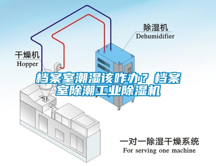 檔案室潮濕該咋辦？檔案室除潮工業(yè)除濕機