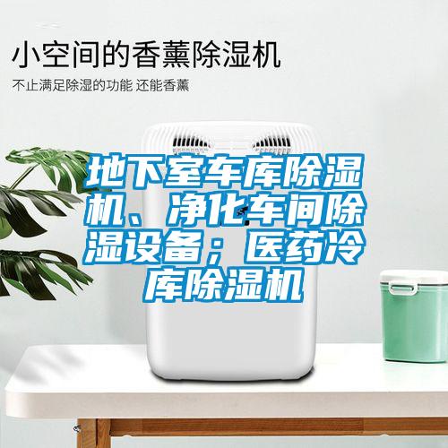 地下室車(chē)庫除濕機、凈化車(chē)間除濕設備；醫藥冷庫除濕機