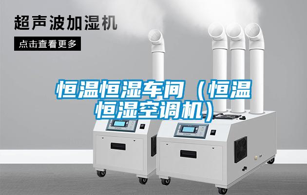 恒溫恒濕車(chē)間（恒溫恒濕空調機）