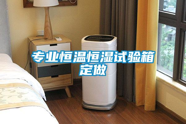 專(zhuān)業(yè)恒溫恒濕試驗箱定做