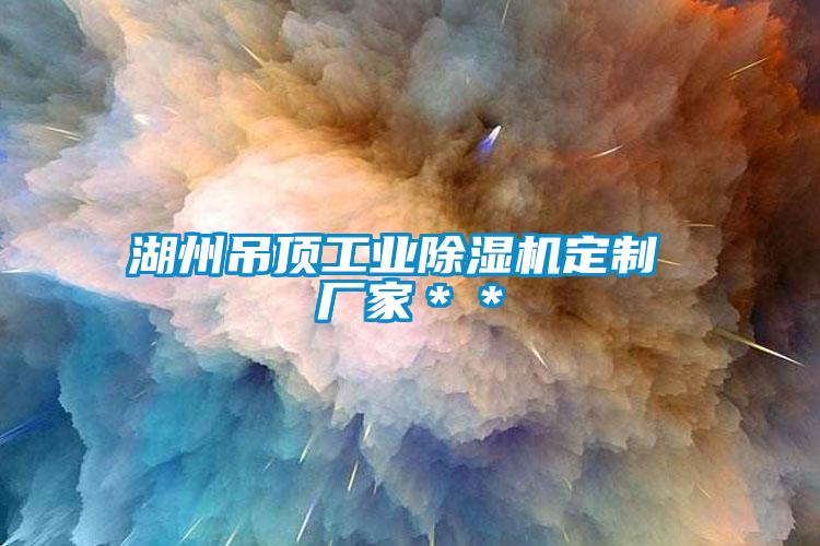 湖州吊頂工業(yè)除濕機定制 廠(chǎng)家＊＊