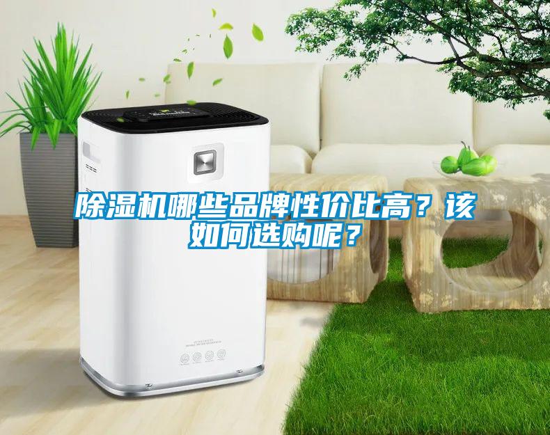 除濕機哪些品牌性?xún)r(jià)比高？該如何選購呢？