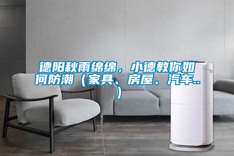 德陽(yáng)秋雨綿綿，小德教你如何防潮（家具、房屋、汽車(chē)..）