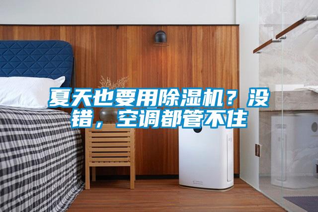 夏天也要用除濕機？沒(méi)錯，空調都管不住