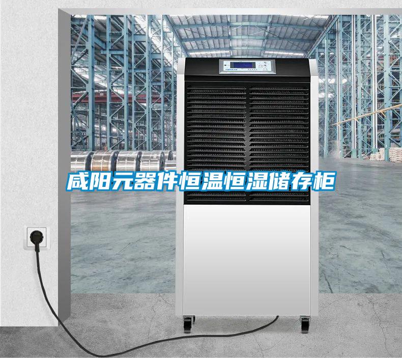 咸陽(yáng)元器件恒溫恒濕儲存柜