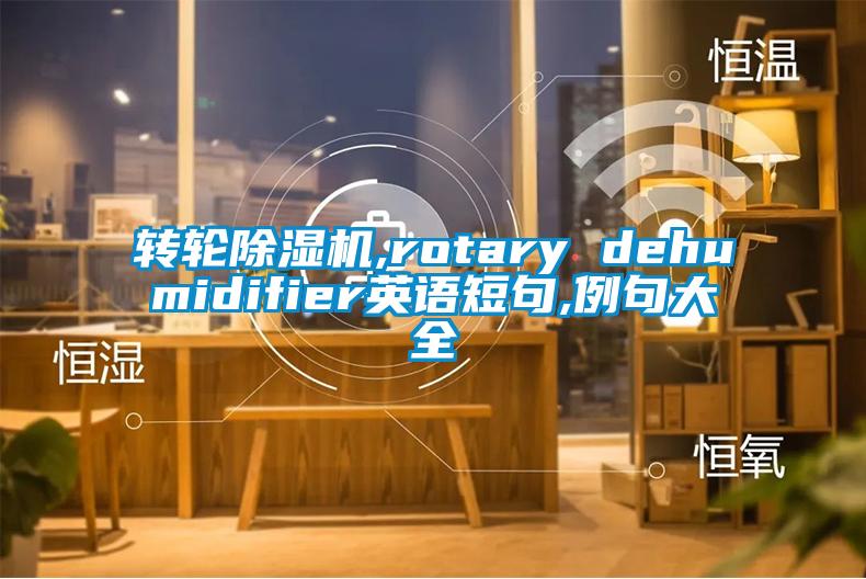 轉輪除濕機,rotary dehumidifier英語(yǔ)短句,例句大全