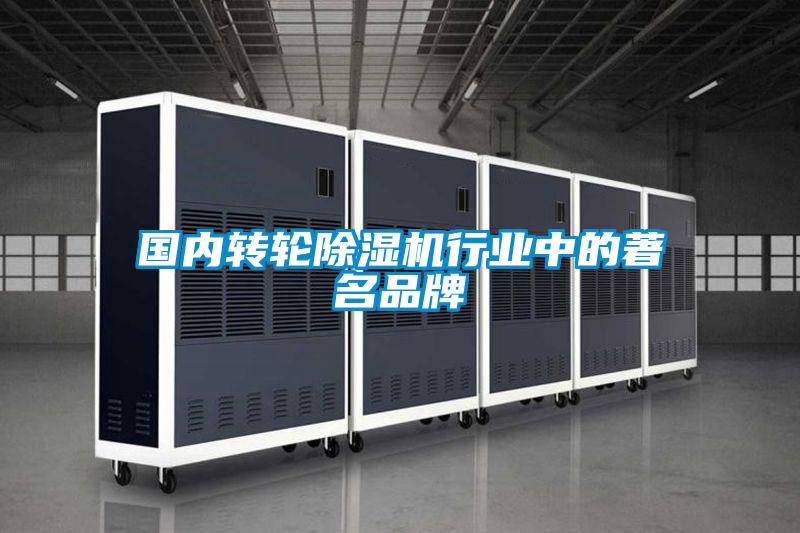 國內轉輪除濕機行業(yè)中的著(zhù)名品牌