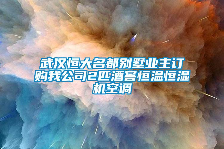 武漢恒大名都別墅業(yè)主訂購我公司2匹酒窖恒溫恒濕機空調