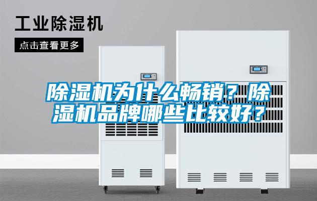 除濕機為什么暢銷(xiāo)？除濕機品牌哪些比較好？