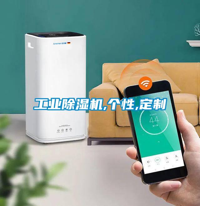 工業(yè)除濕機,個(gè)性,定制