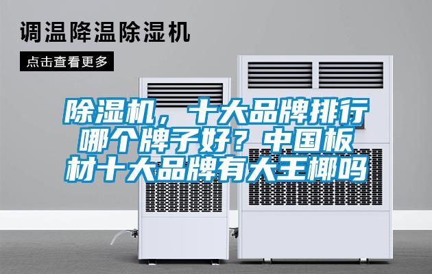 除濕機，十大品牌排行哪個(gè)牌子好？中國板材十大品牌有大王椰嗎