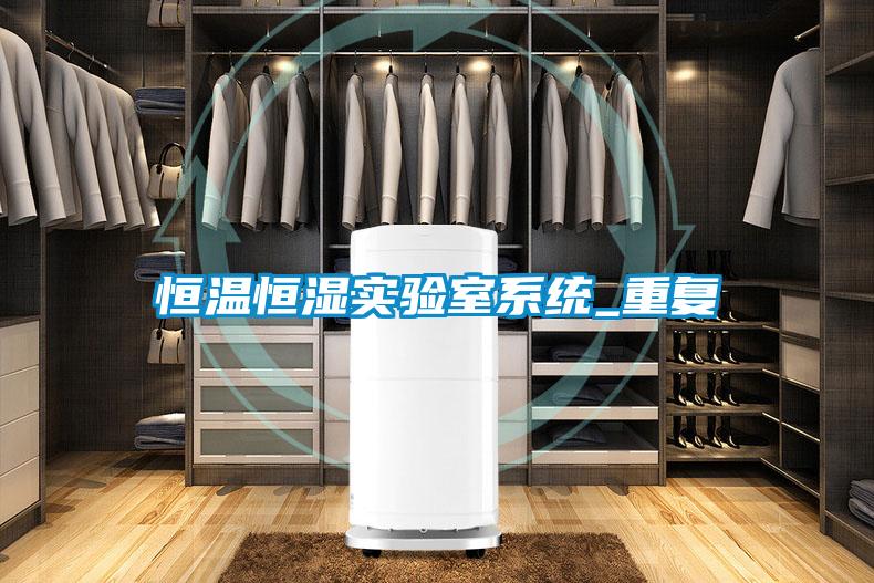 恒溫恒濕實(shí)驗室系統_重復