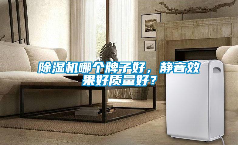 除濕機哪個(gè)牌子好，靜音效果好質(zhì)量好？