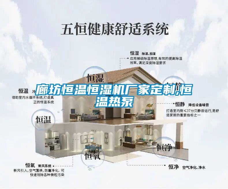 廊坊恒溫恒濕機廠(chǎng)家定制,恒溫熱泵