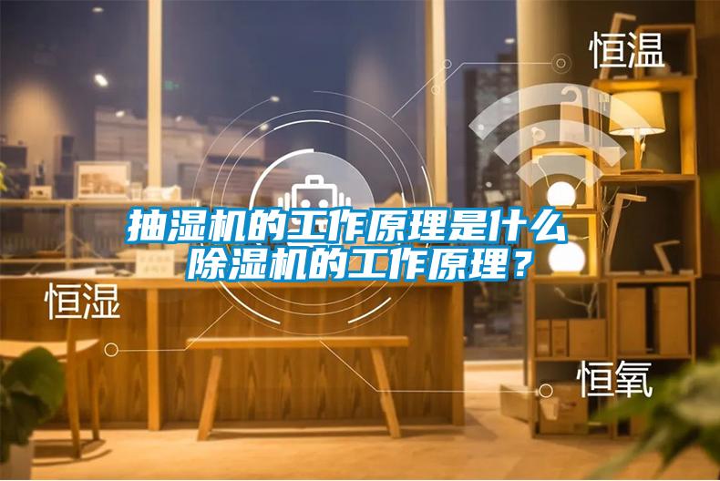 抽濕機的工作原理是什么 除濕機的工作原理？