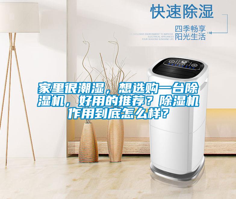 家里很潮濕，想選購一臺除濕機，好用的推薦？除濕機作用到底怎么樣？