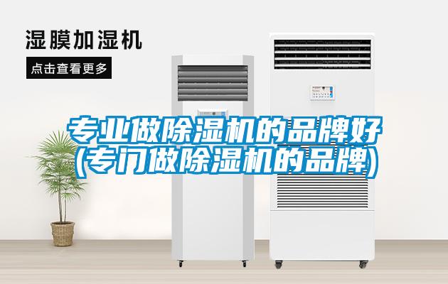 專(zhuān)業(yè)做除濕機的品牌好(專(zhuān)門(mén)做除濕機的品牌)