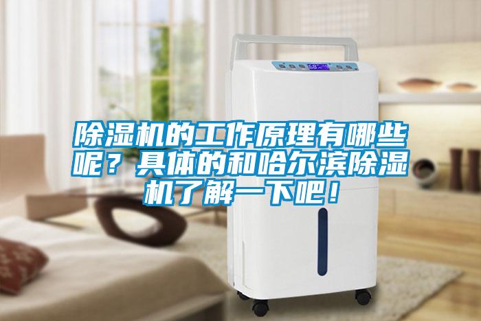 除濕機的工作原理有哪些呢？具體的和哈爾濱除濕機了解一下吧！