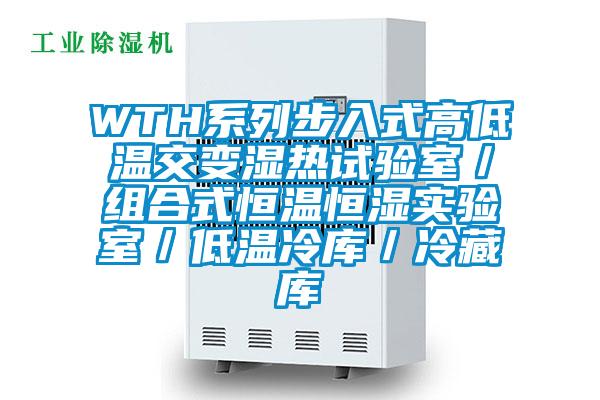 WTH系列步入式高低溫交變濕熱試驗室／組合式恒溫恒濕實(shí)驗室／低溫冷庫／冷藏庫