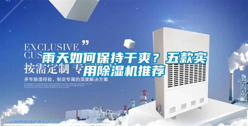 雨天如何保持干爽？五款實(shí)用除濕機推薦