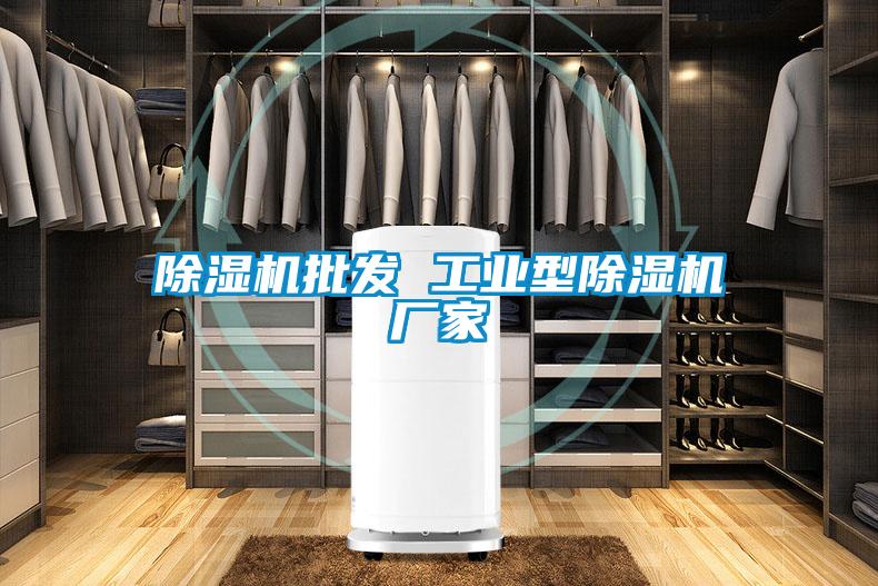 除濕機批發(fā) 工業(yè)型除濕機廠(chǎng)家