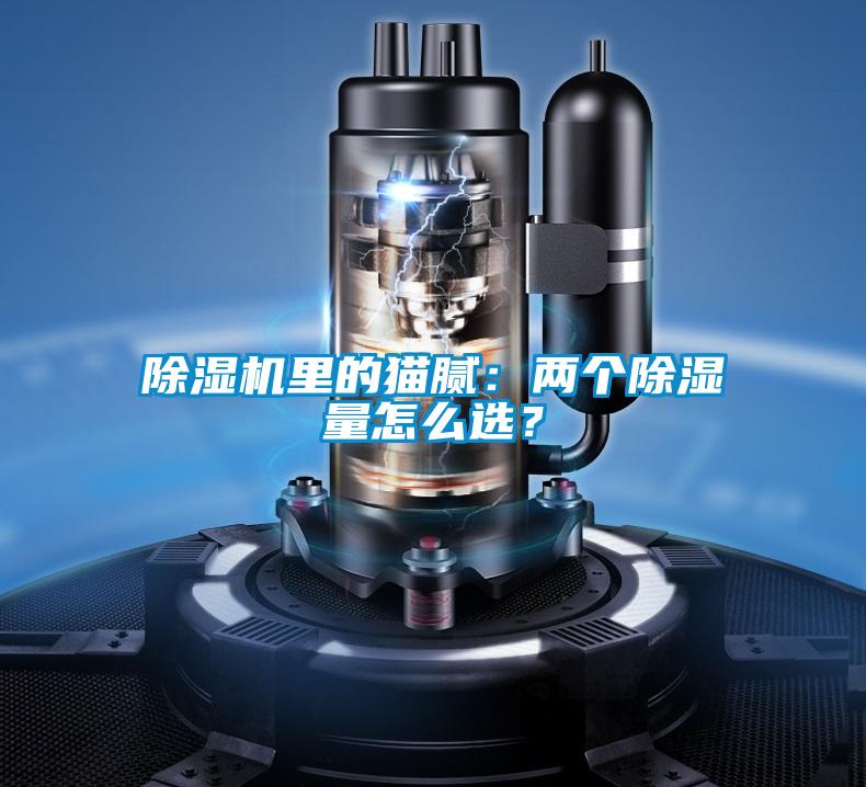 除濕機里的貓膩：兩個(gè)除濕量怎么選？