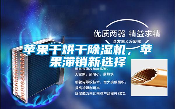 蘋(píng)果干烘干除濕機，蘋(píng)果滯銷(xiāo)新選擇